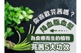 茜茜主播：甜美风格与游戏实力兼具的网络新星介绍