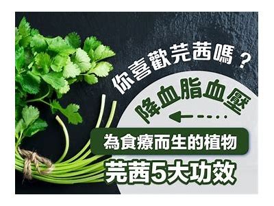 茜茜主播：甜美风格与游戏实力兼具的网络新星介绍