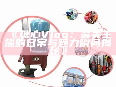 糖心Vlog官方网站会员申请指南与福利介绍