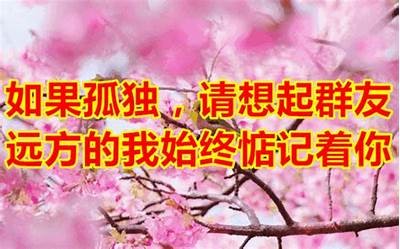 诚邀您关注优秀的糖心love主播，享受精彩互动与高品质直播体验！