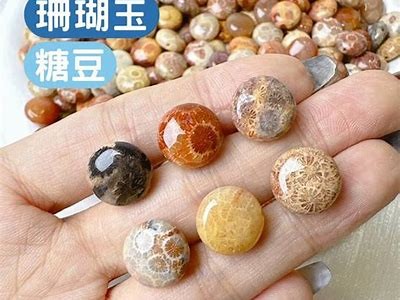 《糖心斗主播：揭秘直播行业的竞争与机遇》